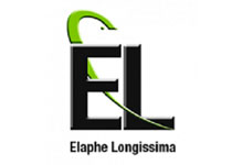 Elaphe Longi